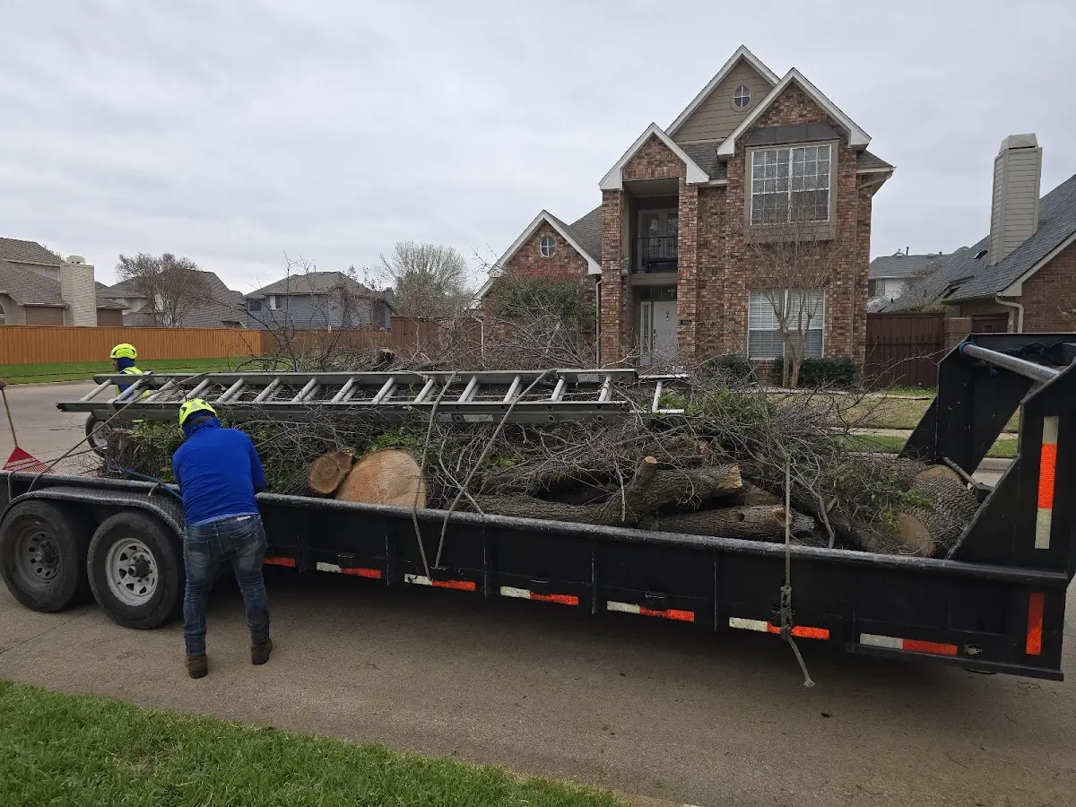 Expert Crown Reduction with proper safety equipment in Sandy Ridge